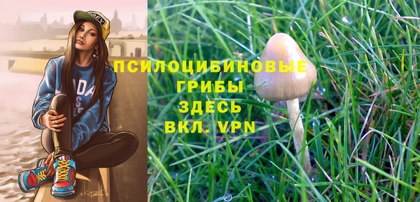 герыч Абинск
